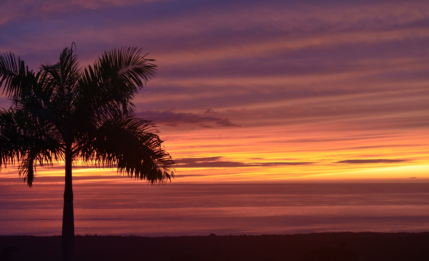 Prayers For Hawai’i