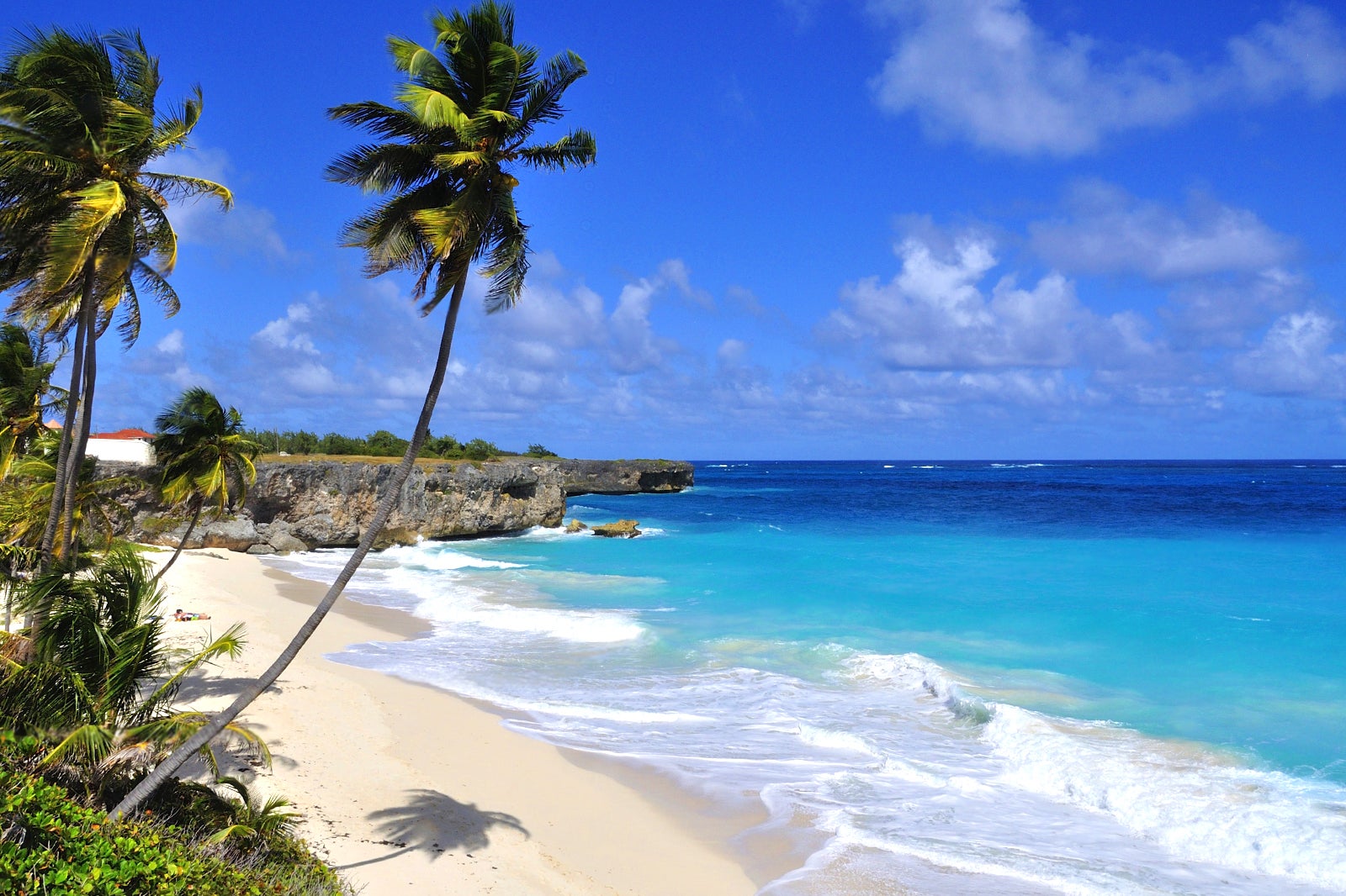 The Beauty of Barbados!