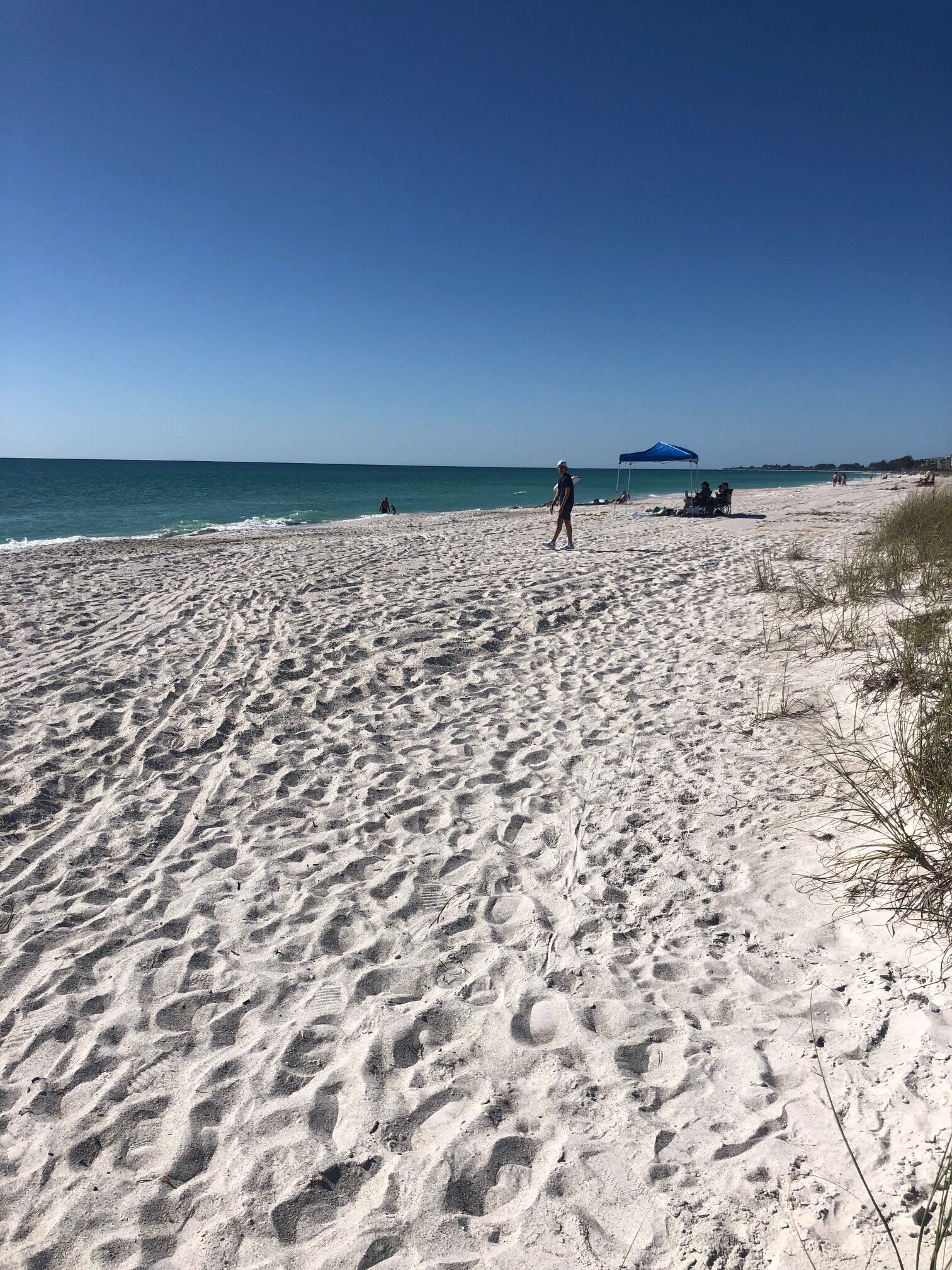 The Unmistakable Charm of Longboat Key